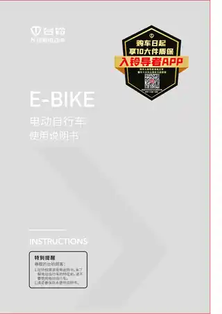 tailg台铃台铃热恋EB TDTD081Z